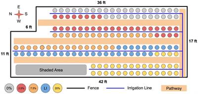 Biochar has positive but distinct impacts on root, shoot, and fruit production in beans, tomatoes, and willows